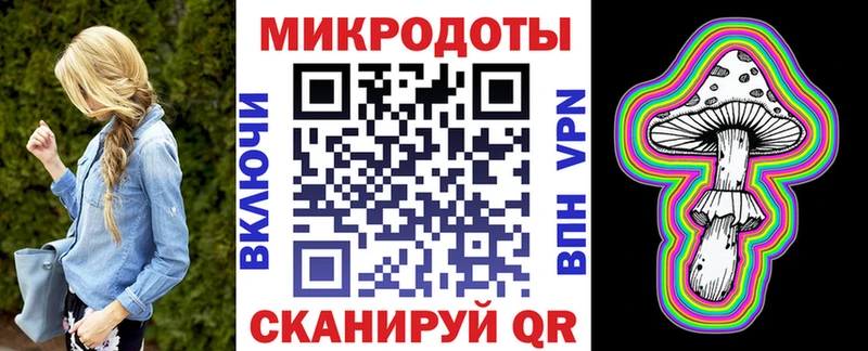 Купить  Буй  Псилоцибиновые грибы Cubensis 