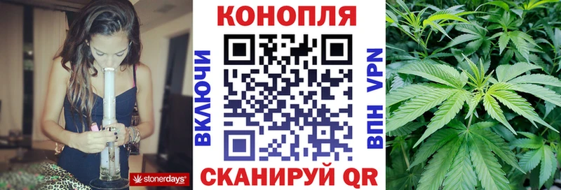 Купить  Буй  Бошки Шишки ГИДРОПОН 